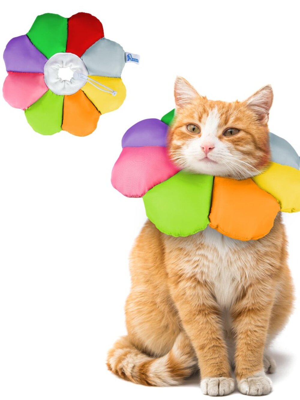 Cat Cone Collar N3599